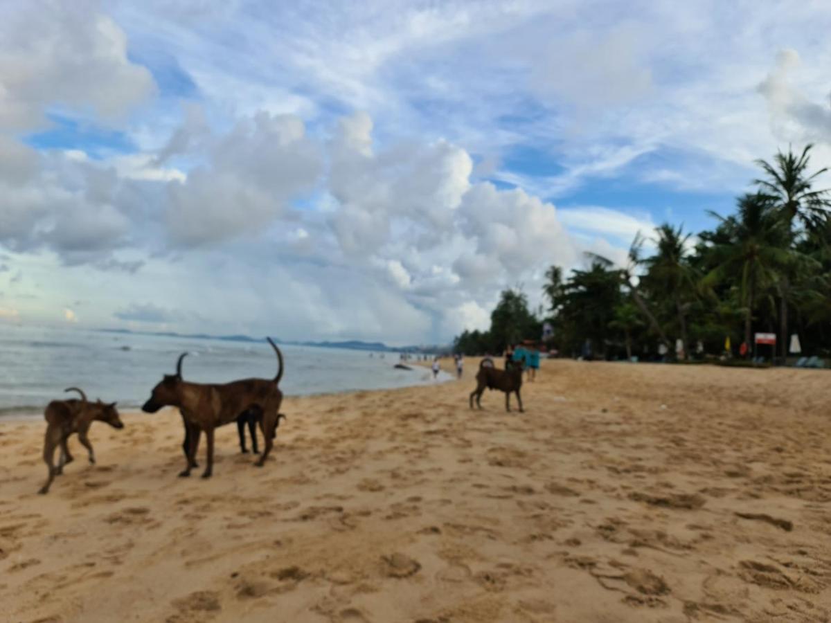 Kim Lien Phu Quoc Guesthouse Eksteriør bilde